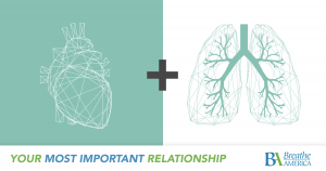2 - 0 Heart Lung Blog (1) renderings of a heart and lungs