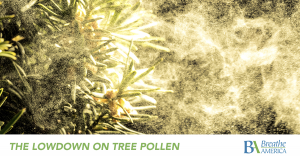 3 - 0 Tree Pollen Blog
